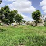Terreno en Venta – 1,300 m² en Colonia Jesús Carranza, Mérida