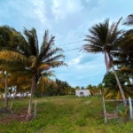 Lots for Sale in Telchac Puerto – Near the Beach!